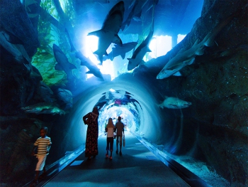 Океанариум Underwater Zoo в Дубай Молл
